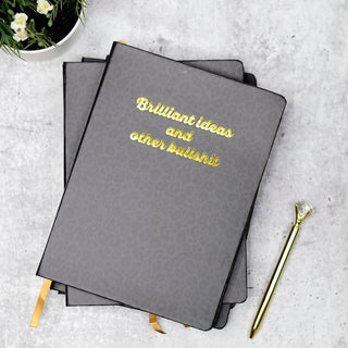 Brilliant Ideas & Other Bullshit Journal