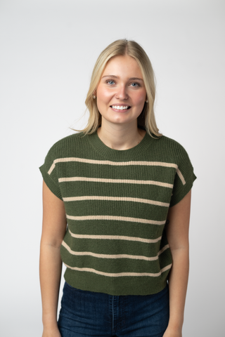 Olive and Tan Striped Sweater Top